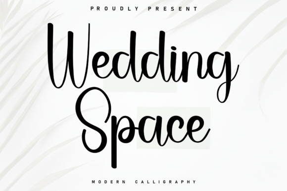 Wedding Space: A Handwritten Font for Charming Branding